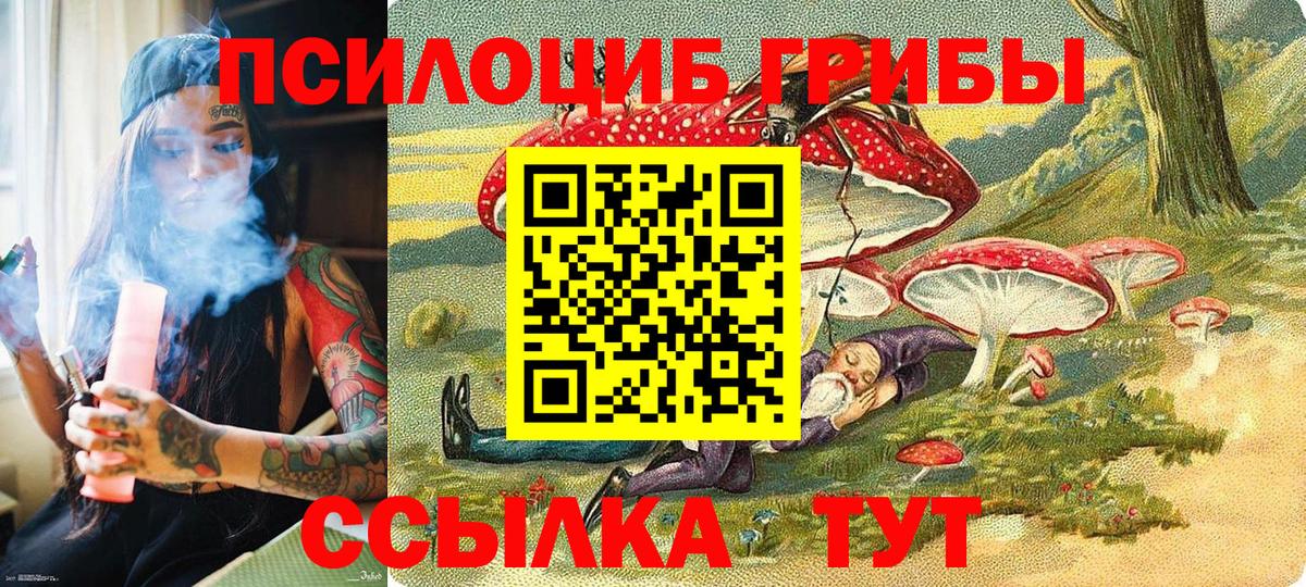 Кострома  что такое   Галлюциногенные грибы ЛСД  Вход с VPN  Псилоцибиновые грибы мицелий 